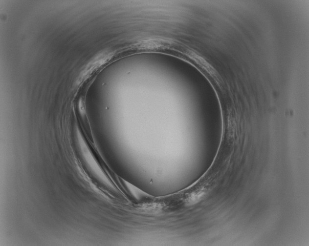 X0000063520485200601201437