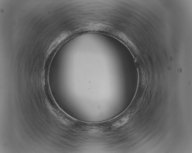 X0000063520486200601201437