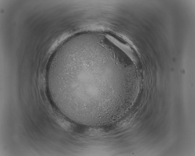 X0000063520487200601201437