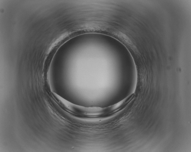 X0000063520488200601201437