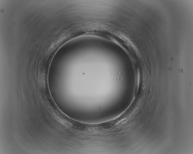 X0000063520489200601201437