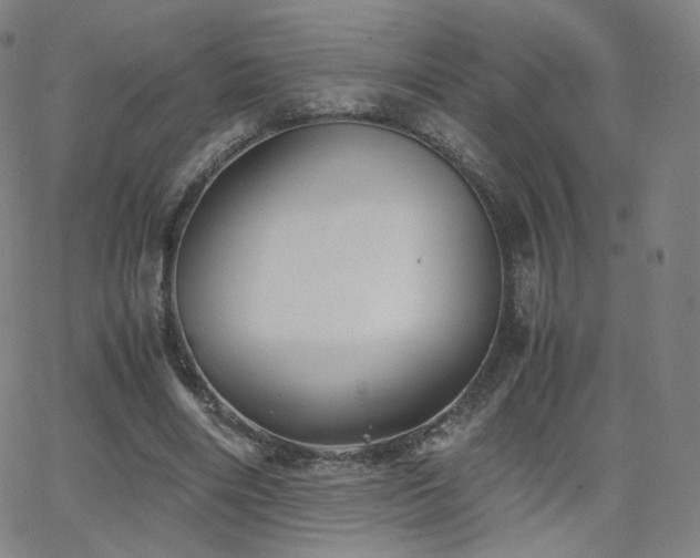 X0000063520490200601201437