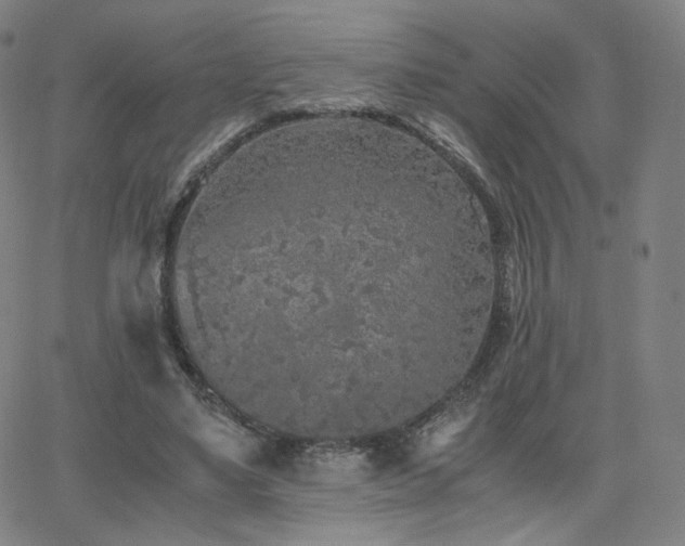 X0000063520491200601201437