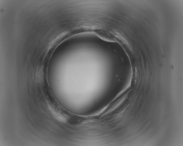 X0000063520492200601201437