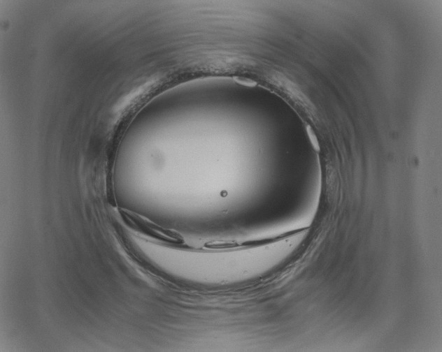 X0000063520493200601201436