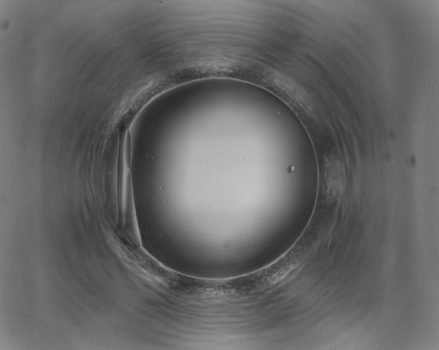 X0000063520494200601201436