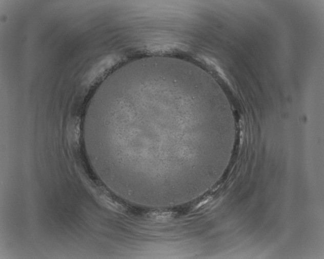 X0000063520495200601201436