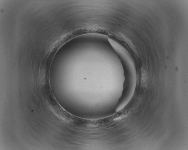 X0000063520496200601201436