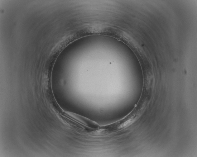 X0000063520497200601201436