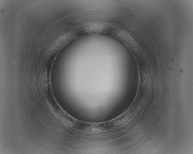 X0000063520498200601201436