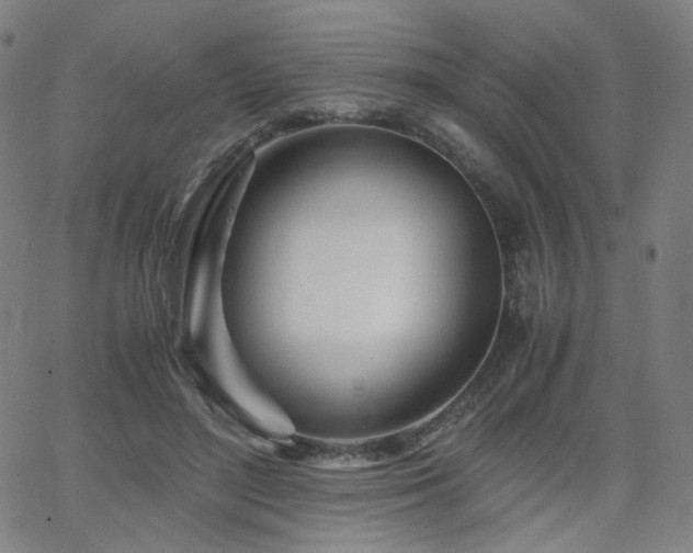 X0000063520500200601201436