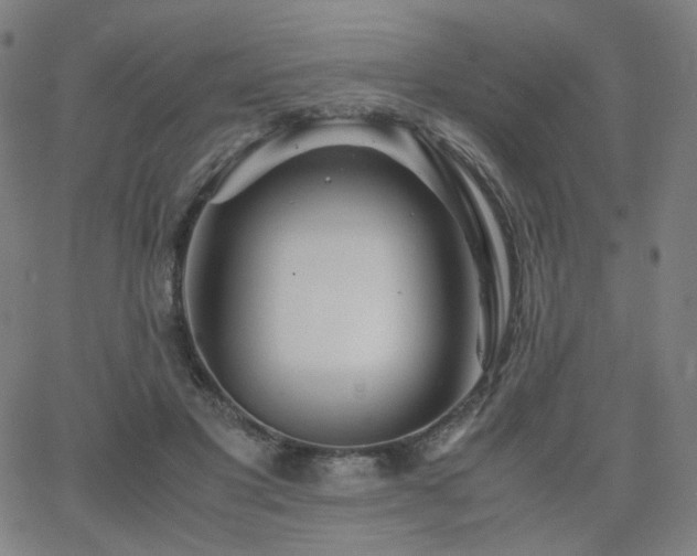 X0000063520501200601201436