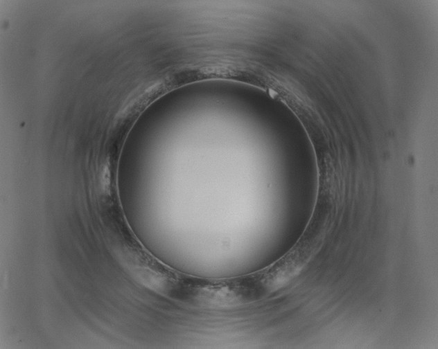 X0000063520502200601201436