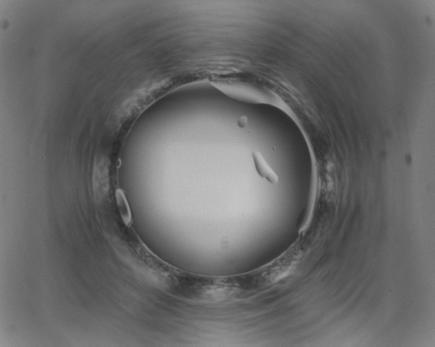 X0000063520504200601201436