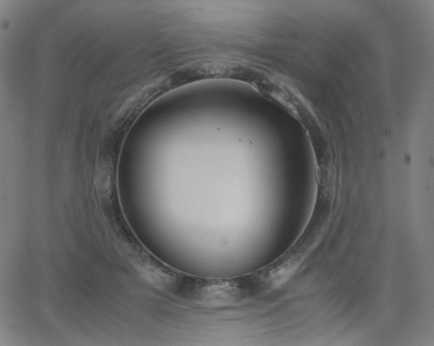 X0000063520505200601201436