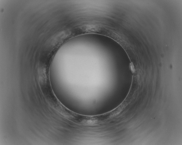 X0000063520506200601201436