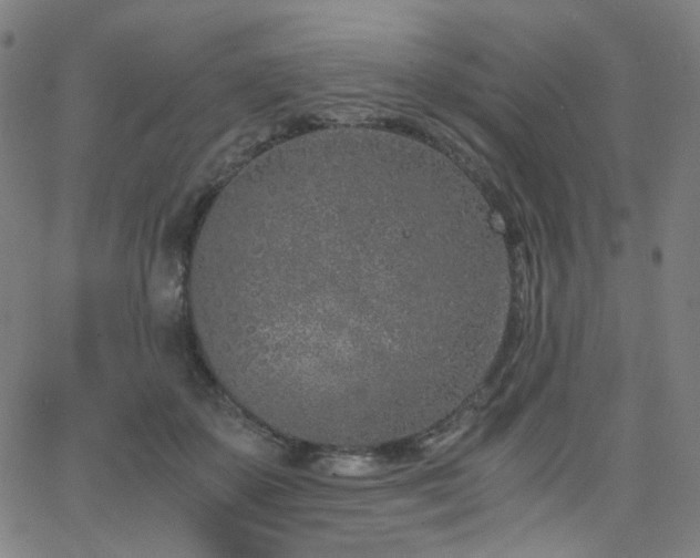 X0000063520507200601201436