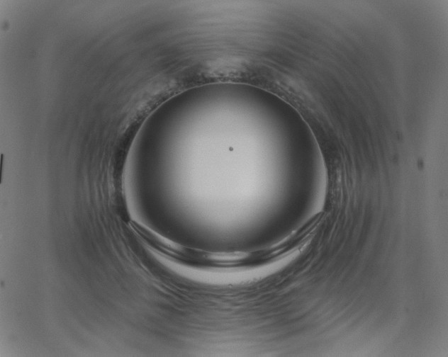 X0000063520508200601201436