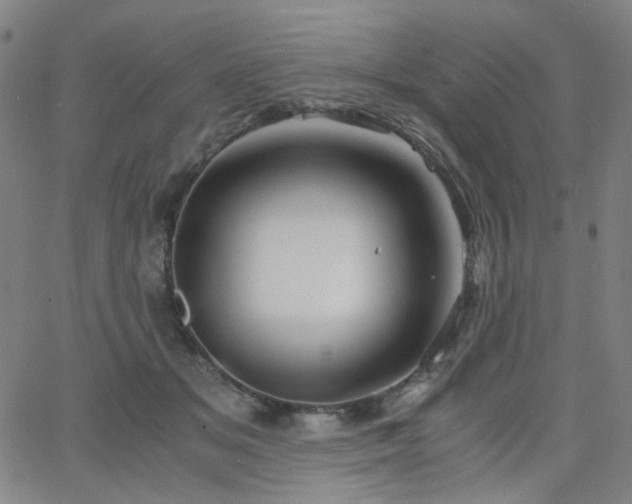 X0000063520509200601201436