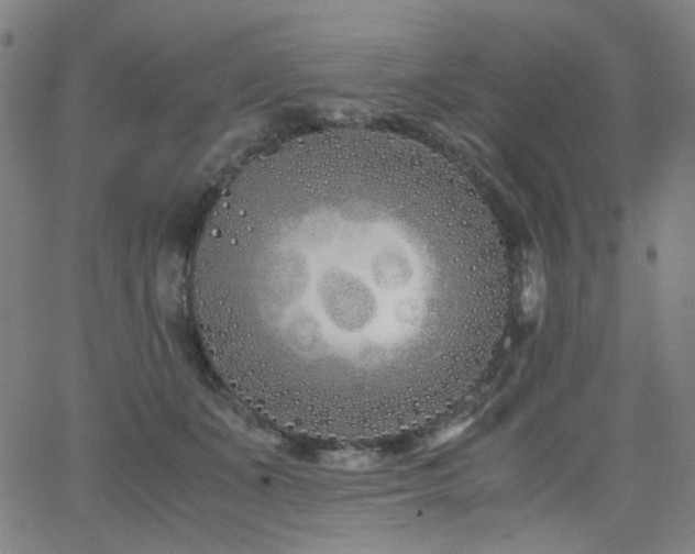 X0000063520511200601201436