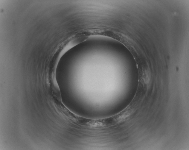 X0000063520512200601201436