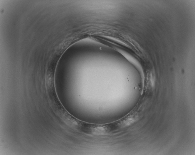 X0000063520513200601201436