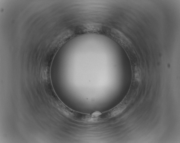 X0000063520514200601201436