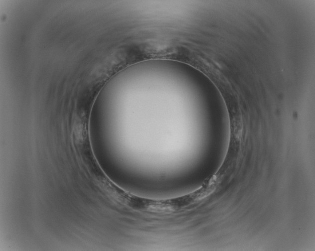 X0000063520515200601201436