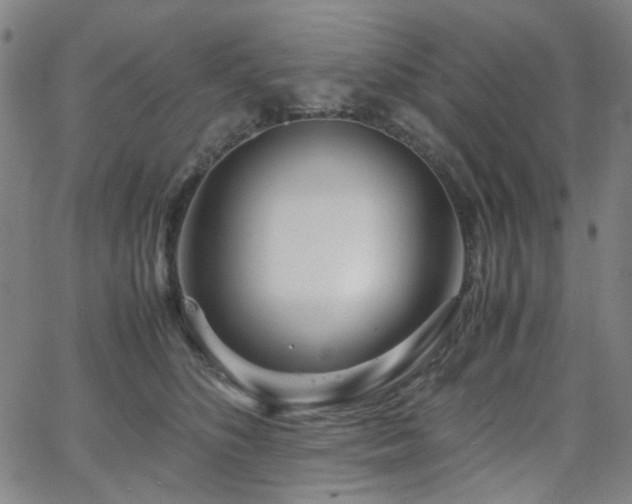 X0000063520516200601201436