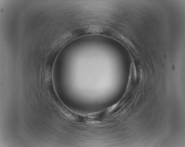 X0000063520517200601201436