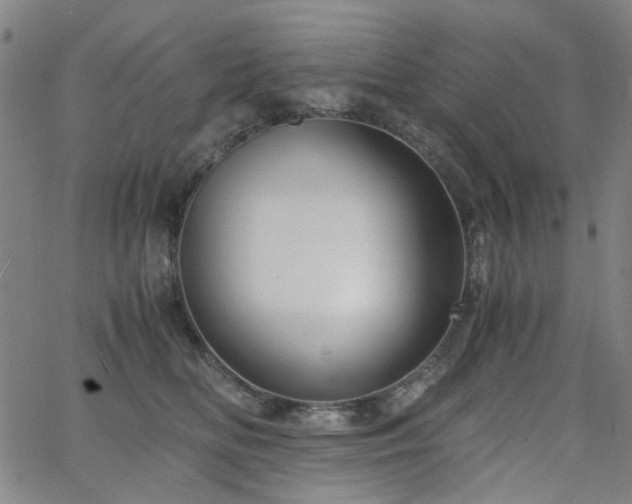 X0000063520518200601201436