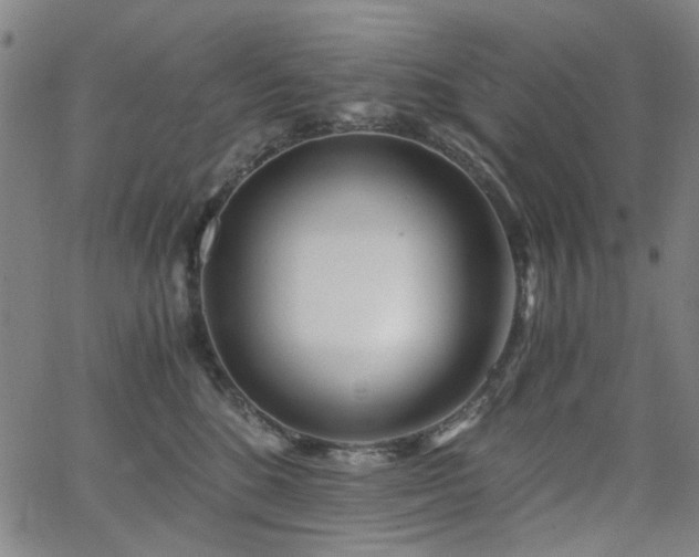 X0000063520520200601201436