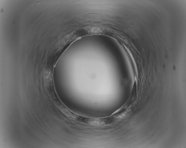 X0000063520521200601201436