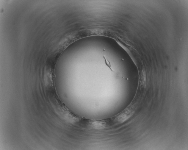 X0000063520522200601201436