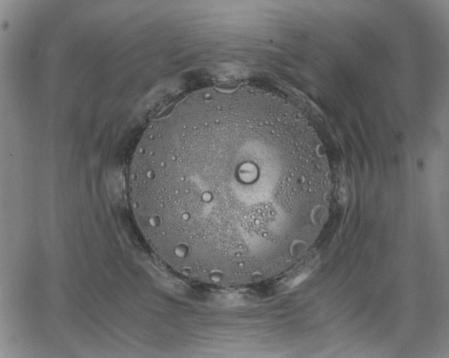 X0000063520523200601201436