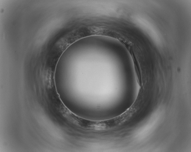 X0000063520525200601201436