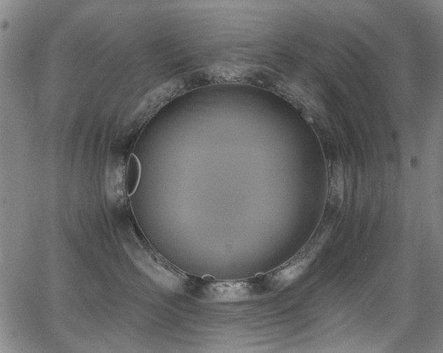 X0000063520526200601201436