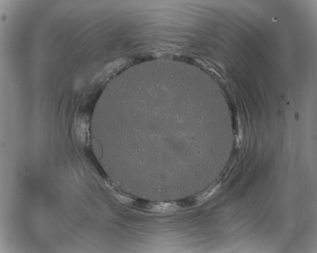 X0000063520527200601201436