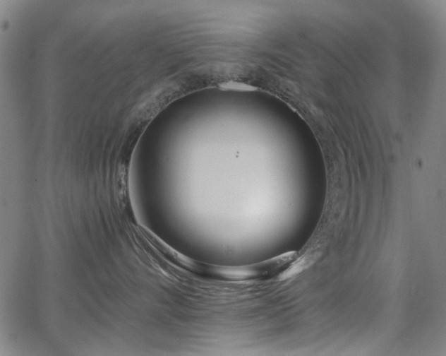 X0000063520528200601201436