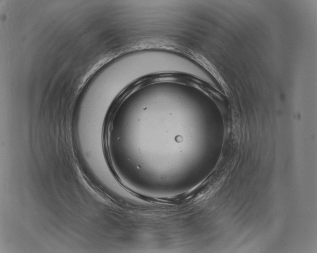 X0000063520530200601201435