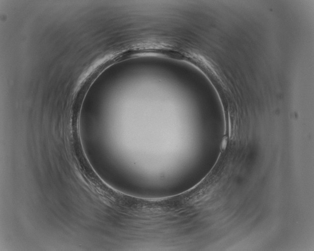 X0000063520531200601201435