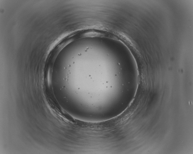 X0000063520532200601201435