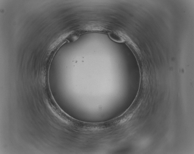 X0000063520533200601201435