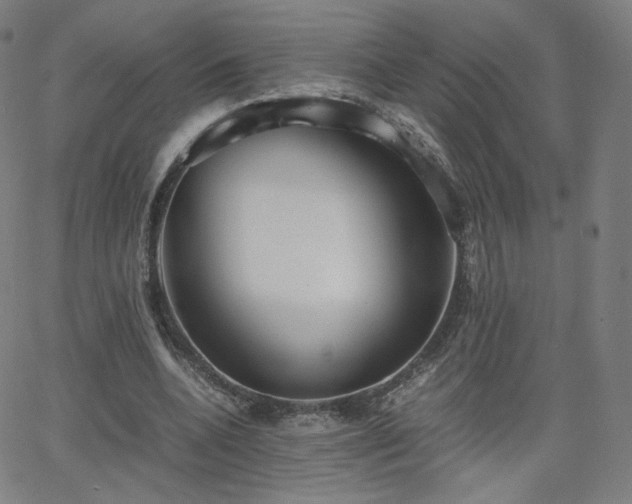 X0000063520536200601201435