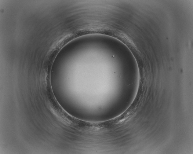 X0000063520542200601201435