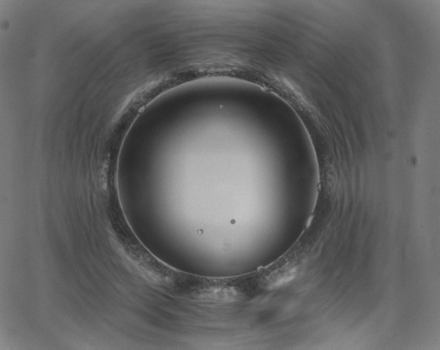 X0000063520543200601201435