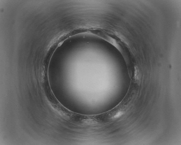 X0000063520544200601201435