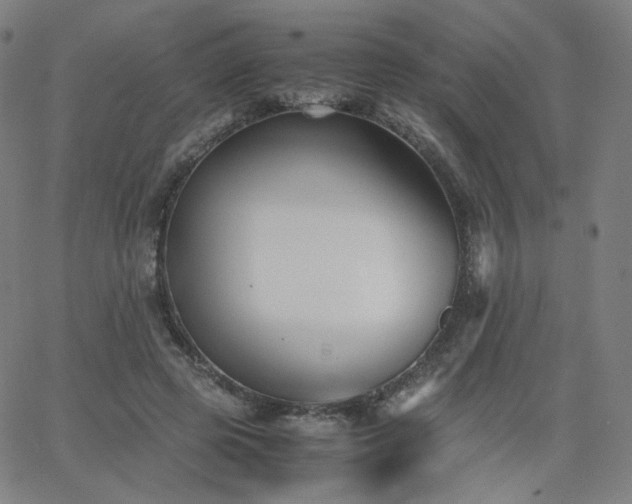 X0000063520545200601201435