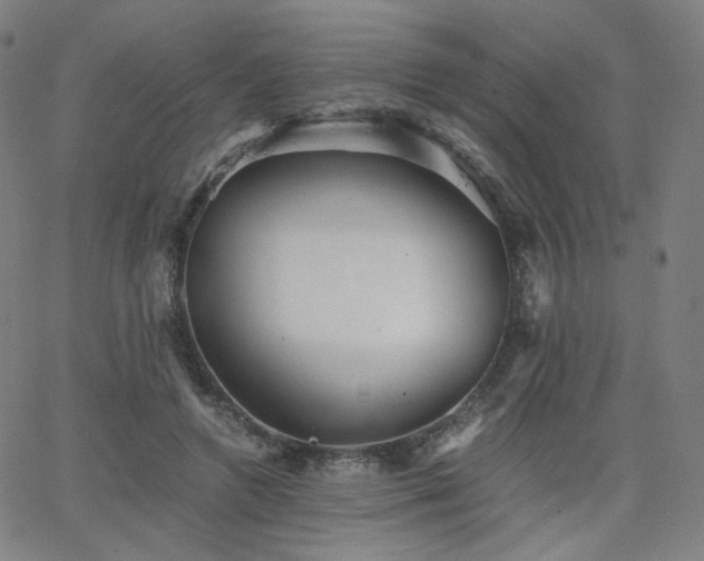 X0000063520546200601201435