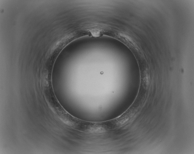 X0000063520547200601201435